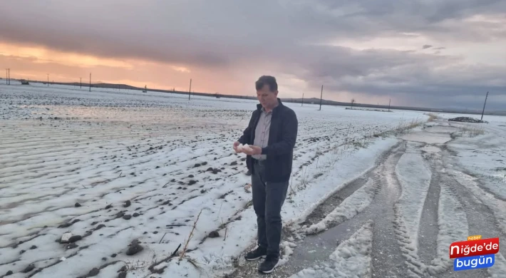 Niğde'de Dolu Felaketi: 20 Bin Dekar Tarım Arazisi Zarar Gördü