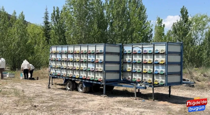 Mobil Arıcılık Sistemiyle Bal Üretiminde Verimlilik Artıyor