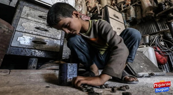 Palandöken, “ülkemizde kayıtlı 970 bin çocuk işçi var”