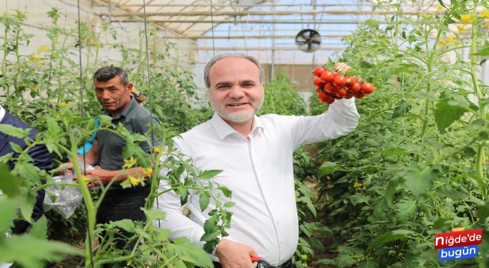 Rektör Uslu, Tarım Bilimleri Fakültesi Seralarında Hasat Yaptı