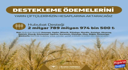 Çiftçilere Hububat Destek Ödemesi Yapılacak
