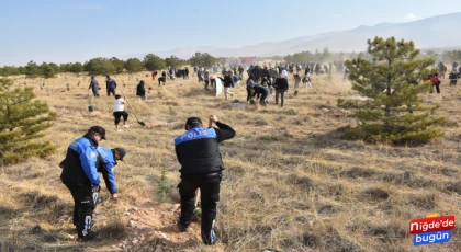 Ormancılık Günü’nde Niğde’de 1000 adet fidan toprakla buluşturulacak