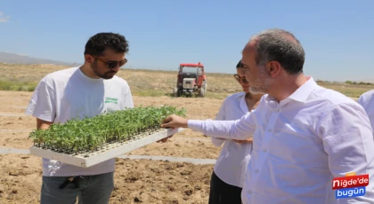 Niğde Bağlarını Yeniden Canlandırılıyor