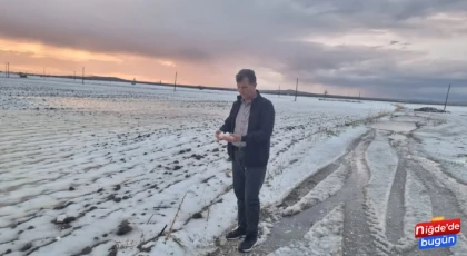 Niğde'de Dolu Felaketi: 20 Bin Dekar Tarım Arazisi Zarar Gördü