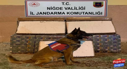Niğde'de Yolcu Otobüsünde 175 Bin Adet Dolu Makaron Ele Geçirildi
