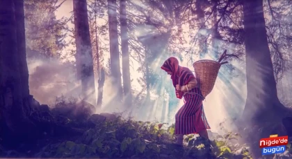 15. Uluslararası Tarım Orman ve İnsan Fotoğraf Yarışması Başvuruları Başladı