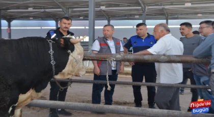 Kurbanlık Hayvan Satış Yerleri Denetimleri Devam Ediyor