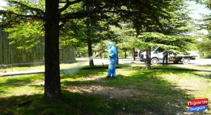Niğde belediyesi kene ve haşerelere karşı ilaçlama çalışmalarına devam ediyor