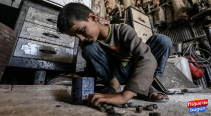 Palandöken, “ülkemizde kayıtlı 970 bin çocuk işçi var”