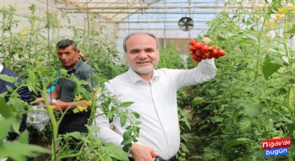 Rektör Uslu, Tarım Bilimleri Fakültesi Seralarında Hasat Yaptı