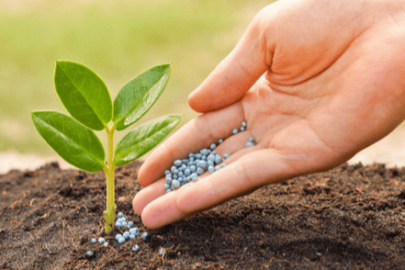 Niğde’de ağaçlar için gübre dönemi açıldı