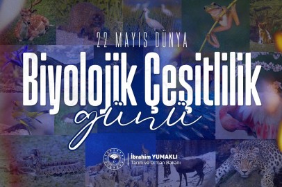 22 Mayıs Dünya Biyolojik Çeşitlilik Günü: Anadolu’nun Eşsiz Doğası Geleceğe Miras