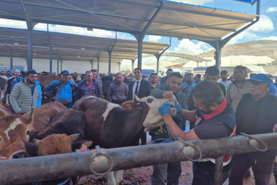 Niğde’de Kurban Bayramı Denetimleri Sıkılaştı: Küpesiz ve Belgesiz Hayvana Geçit Yok